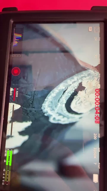 CHRIS BROWN “MJ”